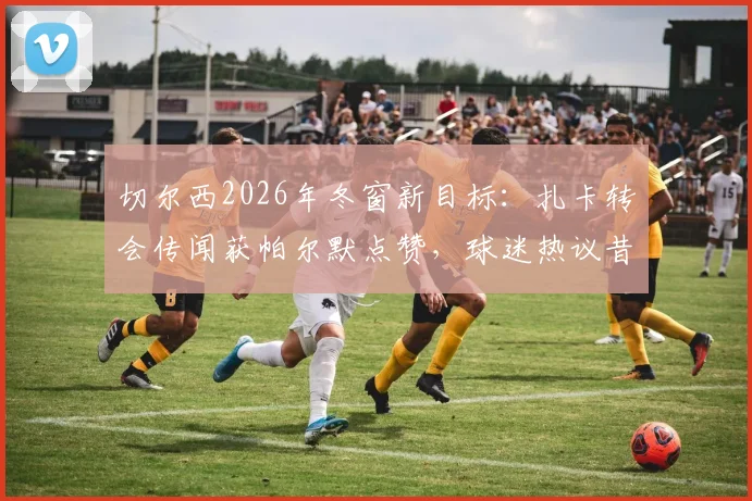 切尔西2026年冬窗新目标:扎卡转会传闻获帕尔默点赞,球迷热议昔日“小迷弟”或牵线蓝军?