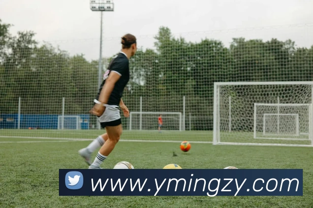 完美体育APP 封面图